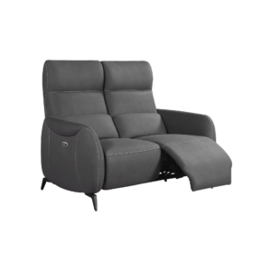 CANAPE SUBTIL 2 PLACES